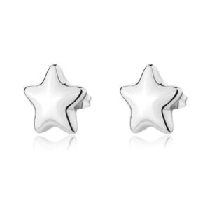 Orecchini stelle silver